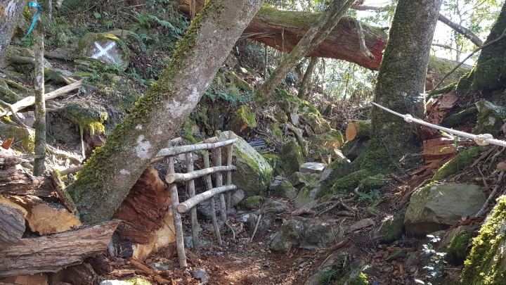 霞喀羅古道2019/03/01五峰石鹿端現況