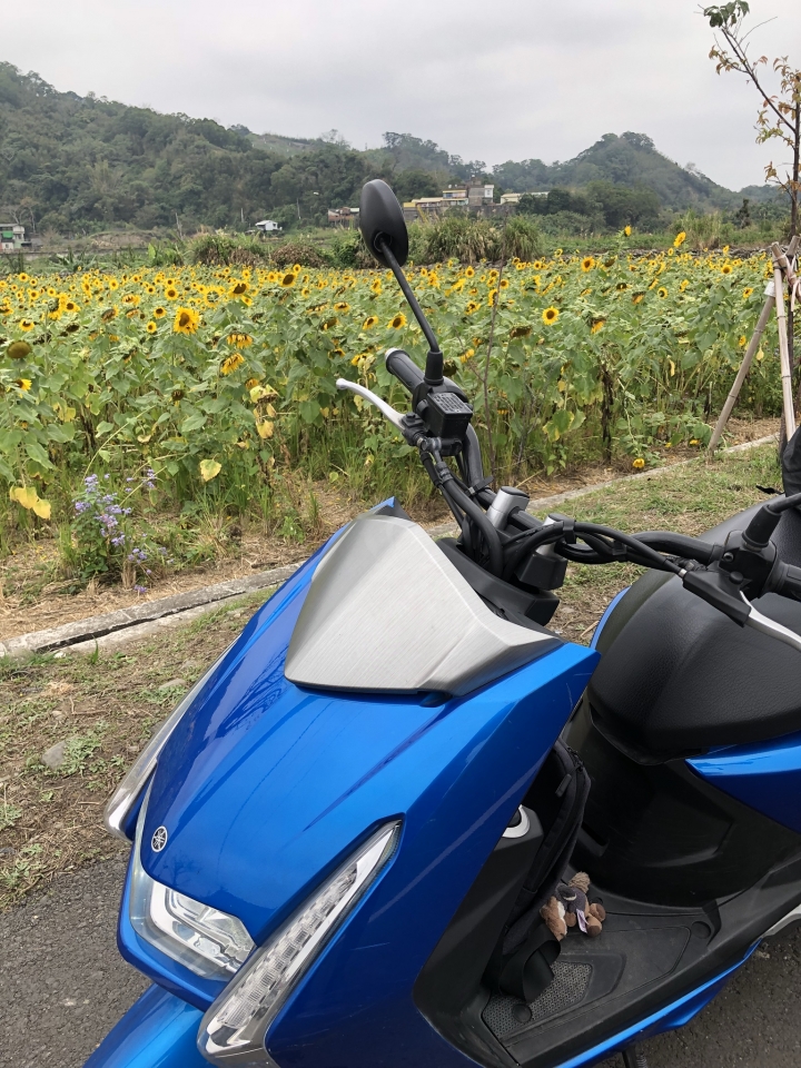 桃桃上武嶺GOGOGO