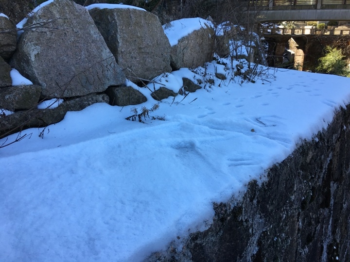 冬 遊 黃 山   美 好 安 徽