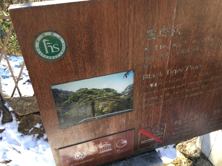 冬 遊 黃 山   美 好 安 徽