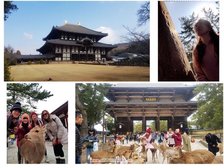 2019日本京阪神五日遊-可樂 不太樂