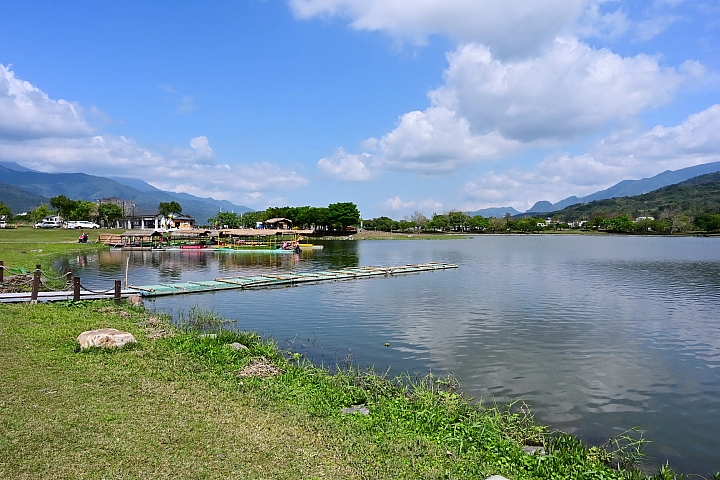 Z7/Z6記錄池上大波池花嘴鴨