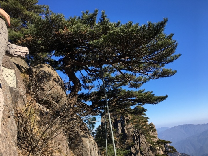 冬 遊 黃 山   美 好 安 徽