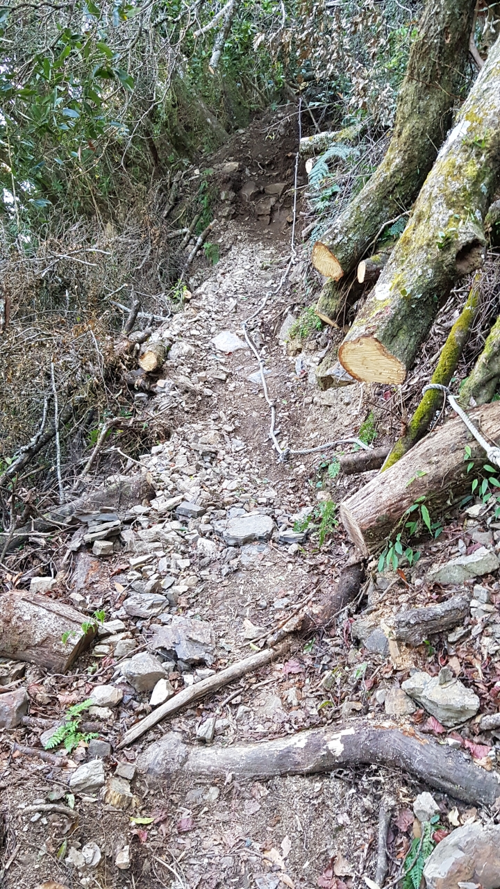 霞喀羅古道2019/03/01五峰石鹿端現況