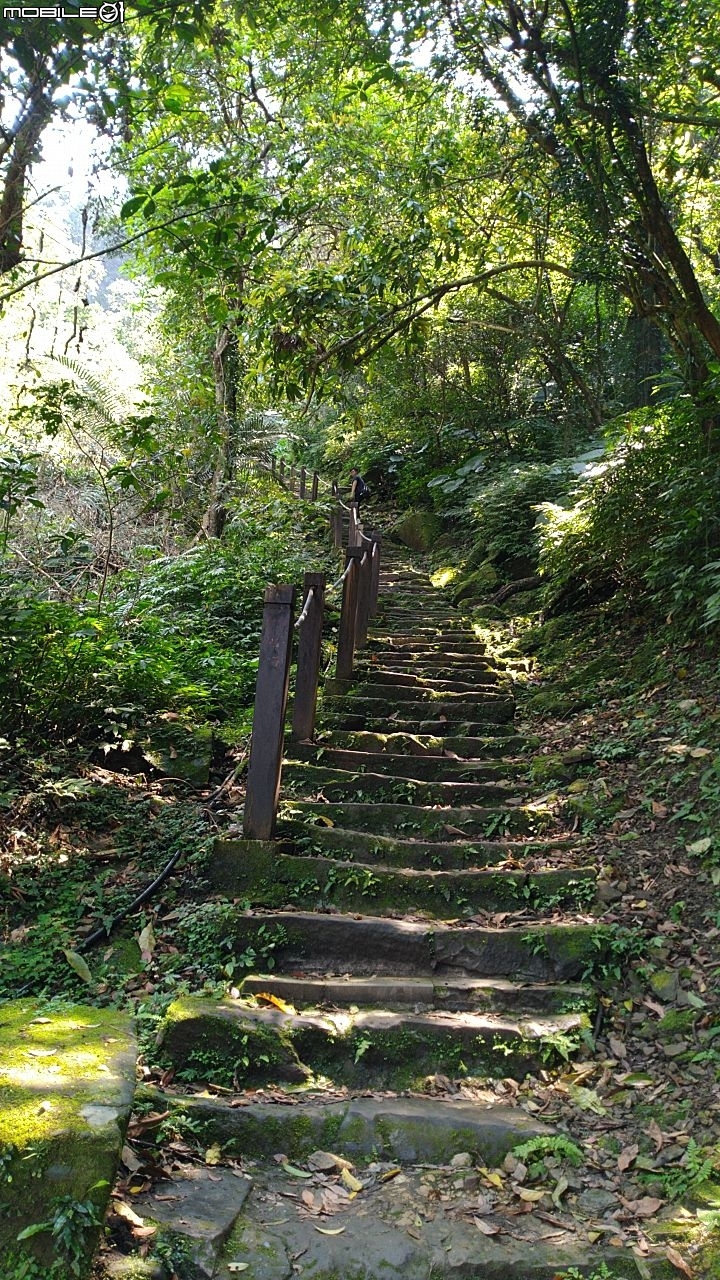 新北市 半日遊記