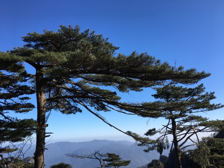 冬 遊 黃 山   美 好 安 徽