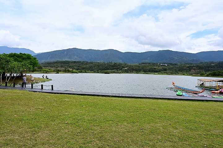 Z7/Z6記錄池上大波池花嘴鴨