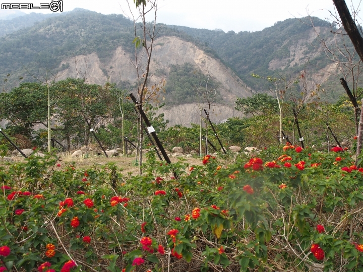 高雄 六龜 寶來花賞溫泉公園 — 只有手湯、足湯的深山秘境，可惜了!