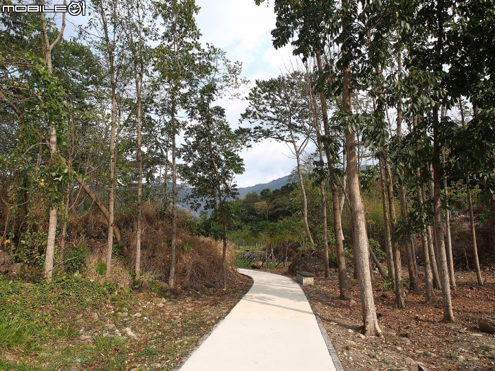 高雄 六龜 寶來花賞溫泉公園 — 只有手湯、足湯的深山秘境，可惜了!