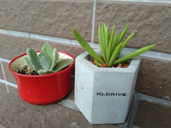 很讚的IQ. DRIVE半自動駕駛體驗!