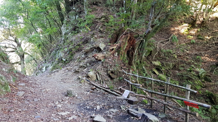 霞喀羅古道2019/03/01五峰石鹿端現況