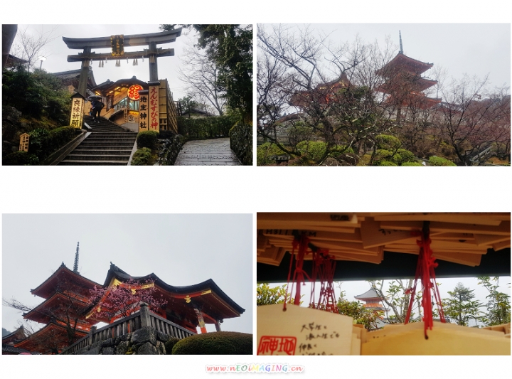 2019日本京阪神五日遊-可樂 不太樂