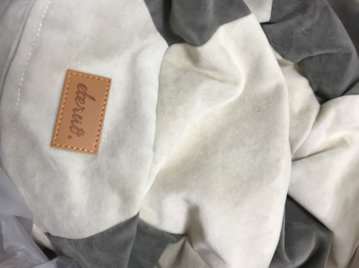 分享好用的寵物懶骨頭