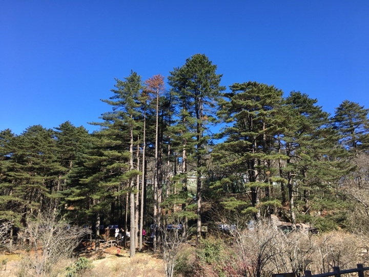 冬 遊 黃 山   美 好 安 徽