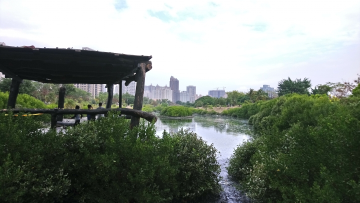 有吊橋的公園~高雄中都溼地公園