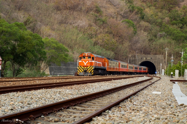 2019.3.14 卡悠峰瀑布、枋野車站秘探(圖文分享