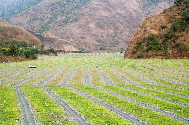 2019.3.14 卡悠峰瀑布、枋野車站秘探(圖文分享