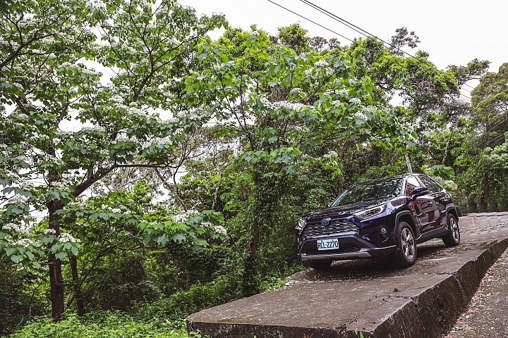 【ALL NEW RAV4隨心所嚮探索之旅- Sony α7III合作攝影挑戰賽】x 周周