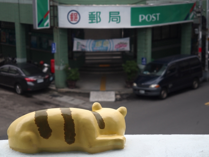 南投市 南投稅務出張所 — 蘿西家族之喵嗚嗚喵嗚喵嗚喵喵嗚
