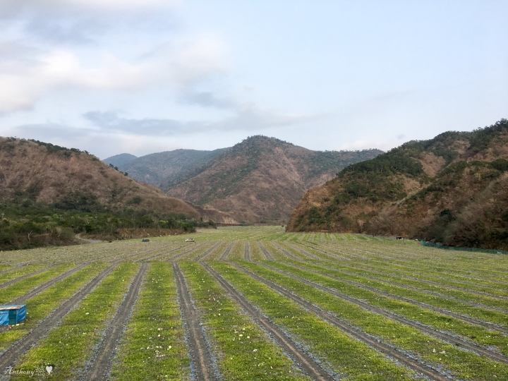 2019.3.14 卡悠峰瀑布、枋野車站秘探(圖文分享