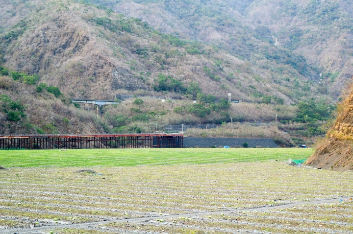 2019.3.14 卡悠峰瀑布、枋野車站秘探(圖文分享