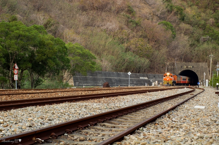 2019.3.14 卡悠峰瀑布、枋野車站秘探(圖文分享