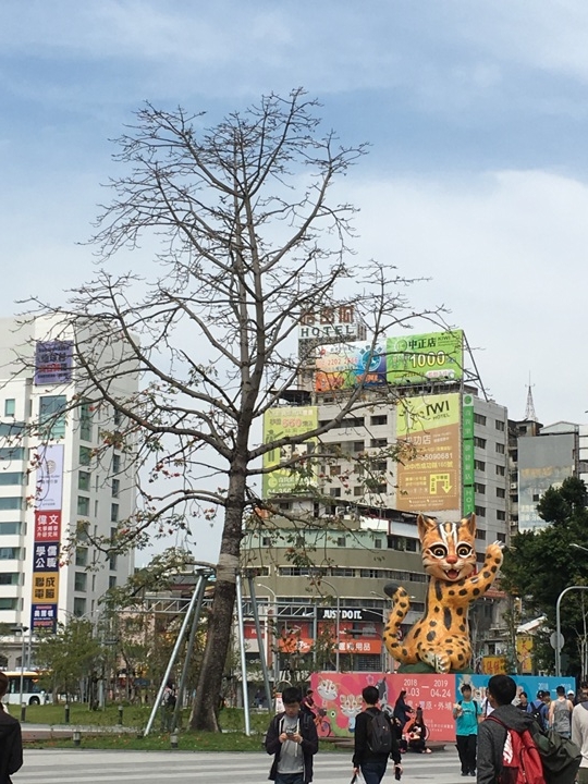 騎訪臺中民生路看盡城區前世今生