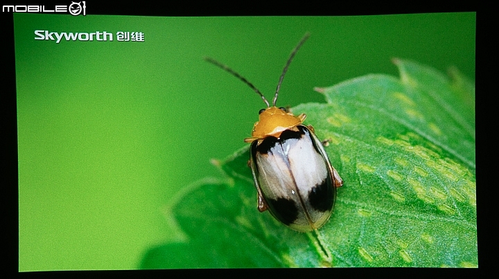 EPSON 4K PRO-UHD EH-TW8400投影機試用 亮麗色彩輕鬆調焦