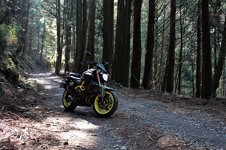 騎車、爬山、拍照,三個願望一次滿足之郡大山單攻