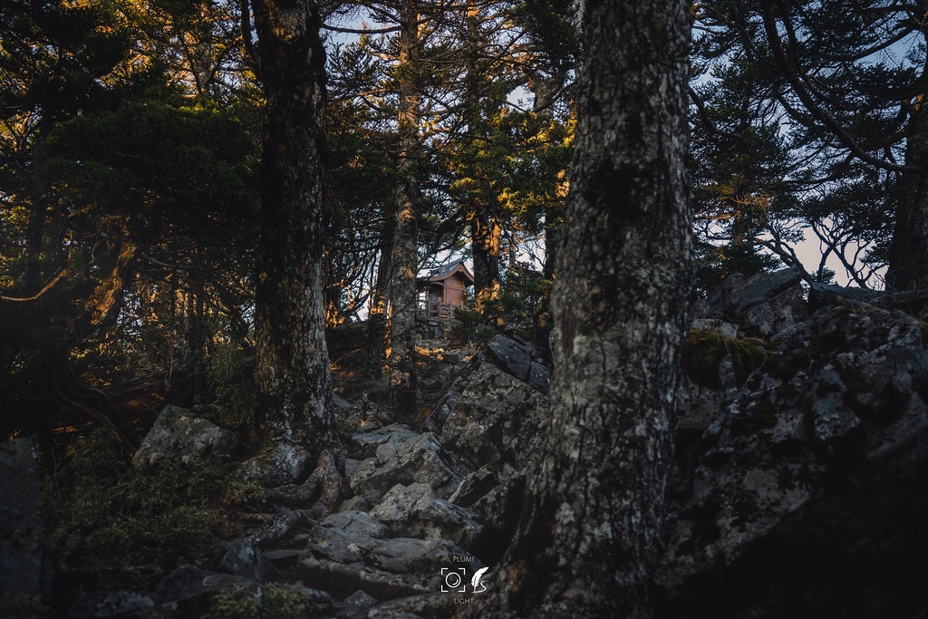 【A7R3】五岳王冕:玉山之巔