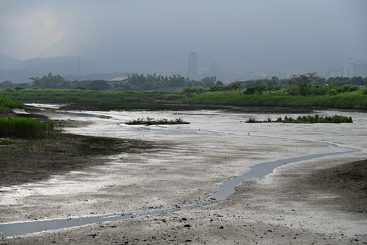 Tamron 35-150mm f/2.8-4 Di VC OSD（Model A043）小廣角至中望遠兼備 輕巧又不失畫質！