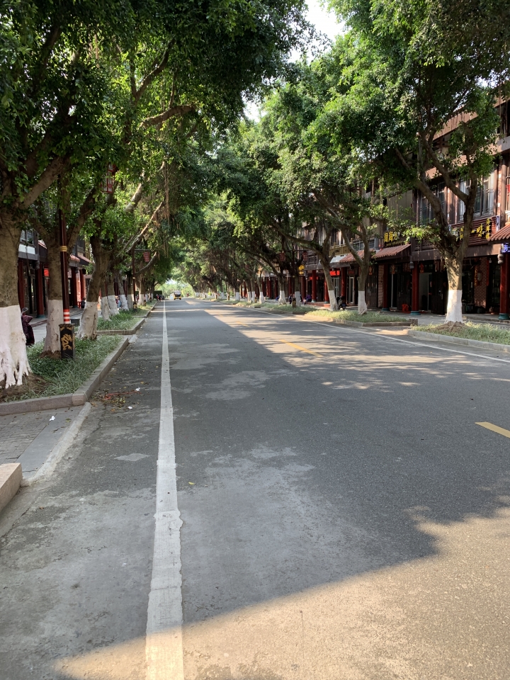 【警告!圖超多】騎登山車從 福建 平潭 到 莆田 湄洲島 鐵路公路+水路 跳島 媽祖進香之旅 🤣