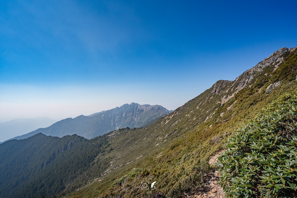 【A7R3】五岳王冕:玉山之巔