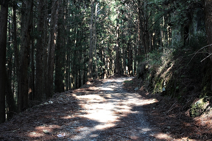 騎車、爬山、拍照,三個願望一次滿足之郡大山單攻