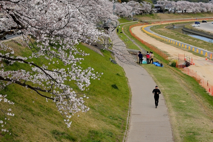 2019散步趣~日本山陰山陽遊記