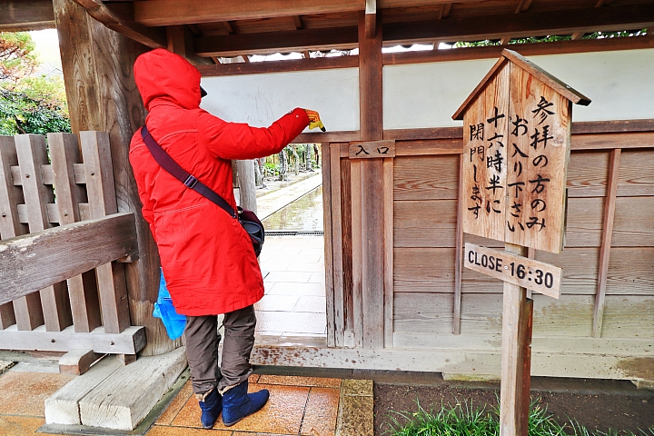 (映像旅行) 在鎌倉雨中漫步,享受心靈洗滌 feat.Canon EOS M50