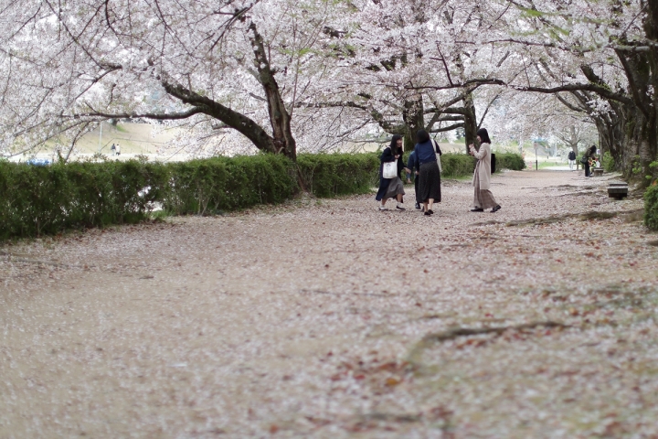 2019散步趣~日本山陰山陽遊記