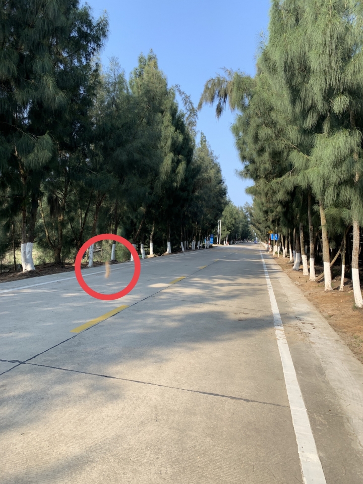 【警告!圖超多】騎登山車從 福建 平潭 到 莆田 湄洲島 鐵路公路+水路 跳島 媽祖進香之旅 🤣