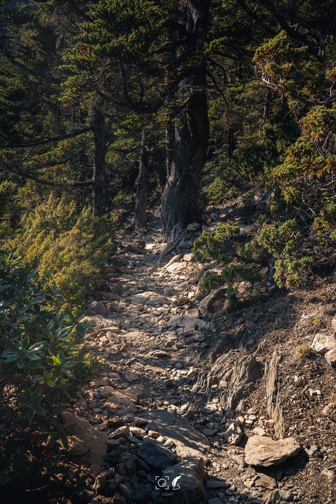 【A7R3】五岳王冕:玉山之巔