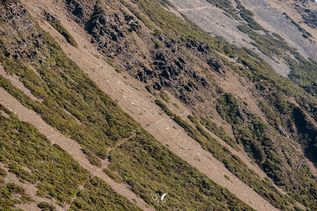 【A7R3】五岳王冕:玉山之巔