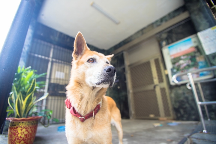 「A7ii」「攝影分享」雄中生的攝影日常