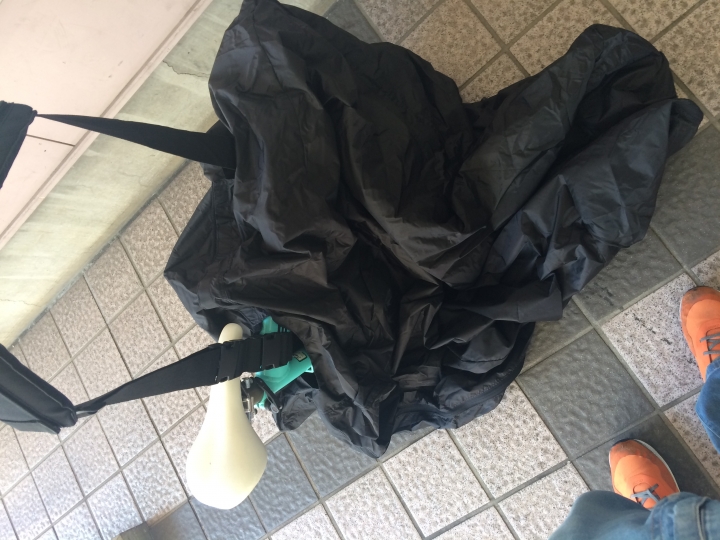 網拍買到的birdy圓管鳥老比安雞研究。