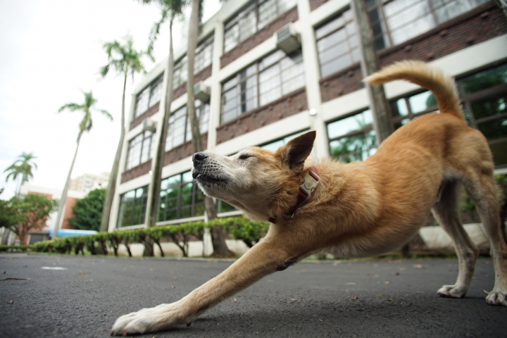 「A7ii」「攝影分享」雄中生的攝影日常
