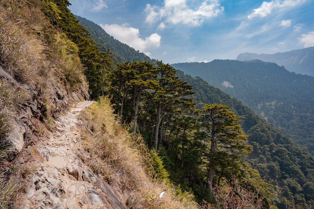 【A7R3】五岳王冕:玉山之巔