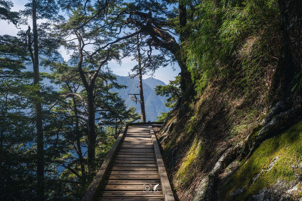 【A7R3】五岳王冕:玉山之巔