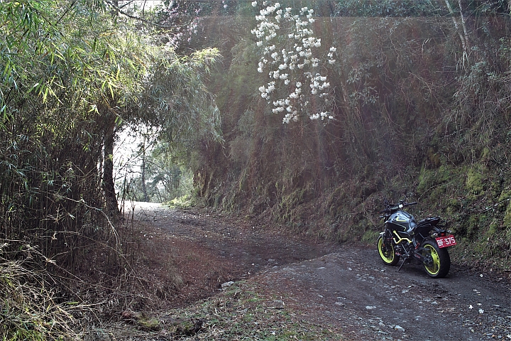 騎車、爬山、拍照,三個願望一次滿足之郡大山單攻