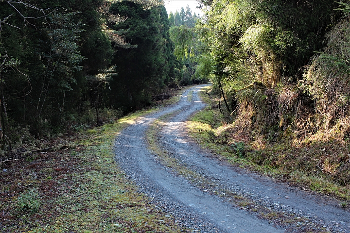 騎車、爬山、拍照,三個願望一次滿足之郡大山單攻