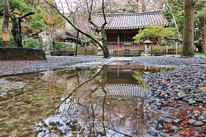 (映像旅行) 在鎌倉雨中漫步,享受心靈洗滌 feat.Canon EOS M50