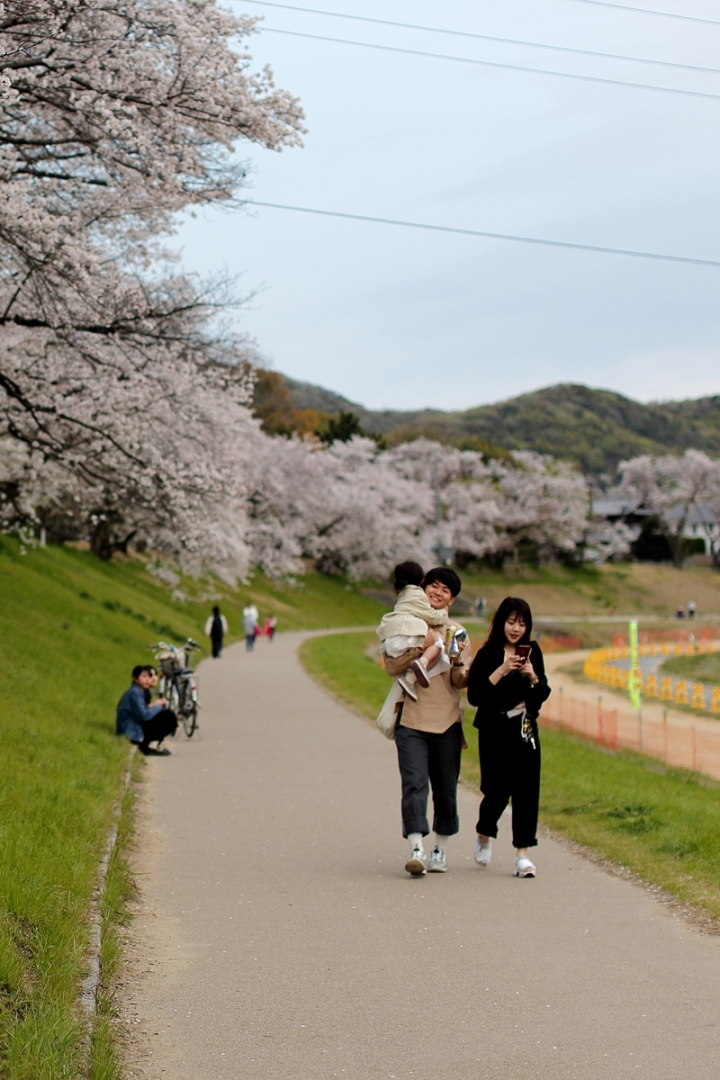 2019散步趣~日本山陰山陽遊記