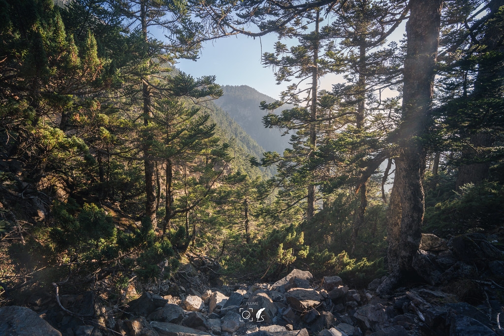 【A7R3】五岳王冕:玉山之巔